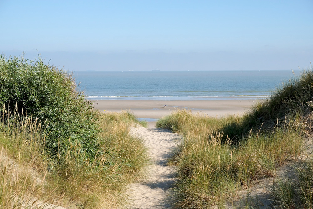Vanuit de duinen loop je zo het strand op in Bredene aan zee. Bredene aan zee, Belgie. Activiteiten, wandelen, yoga, suppen, sup, restaurants, vakantiepark Roompot