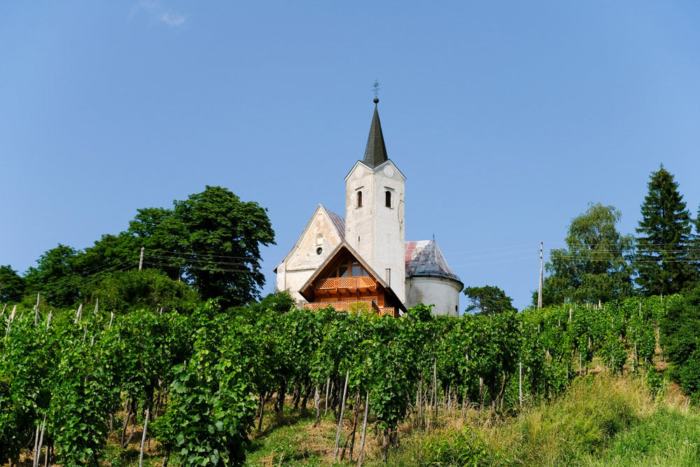 Vakantie Kroatie: Veel natuur en zo nu en dan een bouwwerk in het wijngebied Plešivica