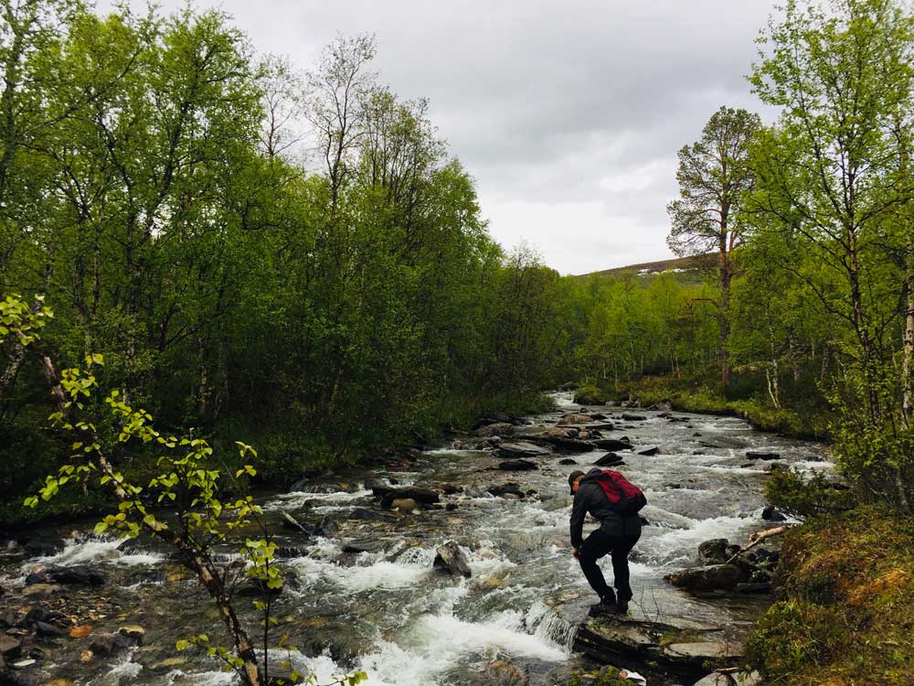 Wandelen in Vuoggatjalme in Noord-Zweden, rondreis Zweeds lapland, hiking