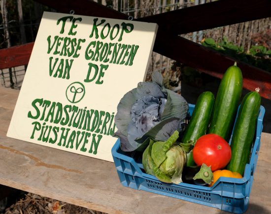 Biologische groenten te koop bij de Stadstuinderij in Tilburg. stedentrip Tilburg, hotspots restaurants en winkels, de Piushaven