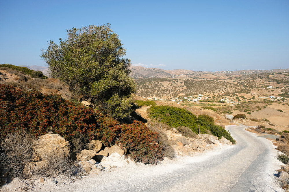 Het eerste deel van de wandeling naar de Stefanos kapel gaat over de verharde weg Syros, Griekenland, Cycladen, eiland, rondreis, eilandhoppen, hoppen, island,