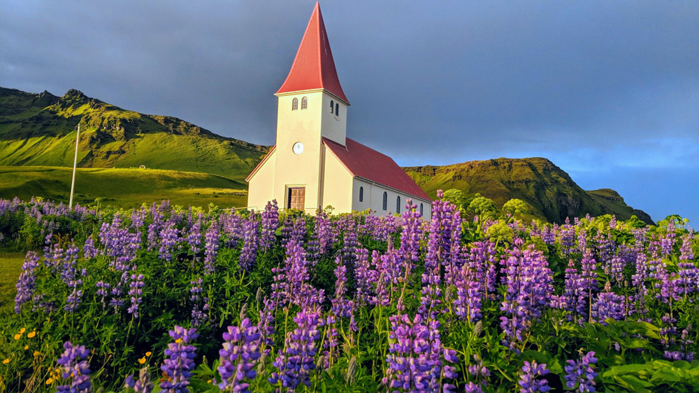 Rondreis Noord-IJsland met Voigt , bezienswaardigheden, hotspots. Zomaar een kerkje tussen de bloemen in Noord-IJsland