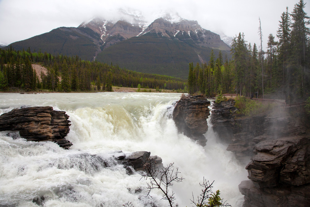 De machtige Athabasca watervallen in Canada. Treinreis Canada, met de Rocky Mountaineer van Banff naar Vancouver