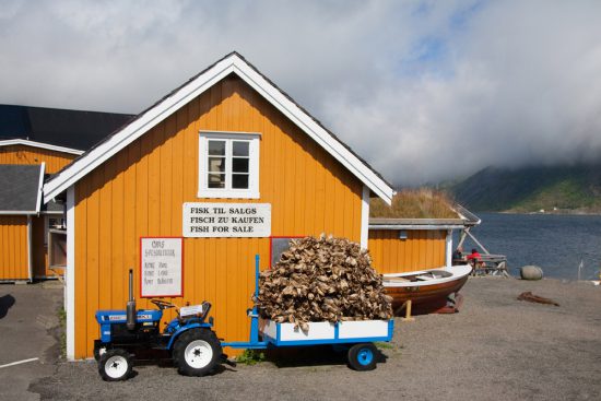 Kabeljauw te koop bij de Noorse fjorden. cruise Noorwegen, noorse fjorden, mooiste plaatsen, plekken, rondreis