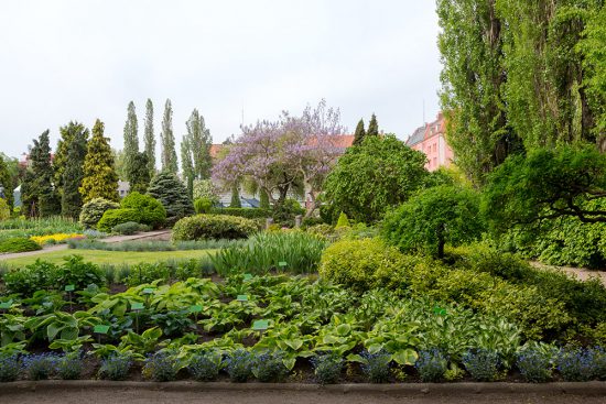 De botanische tuin op het eiland Ostrów Tumski. Stedentrip Wroclaw, polen, bezienswaardigheden, want te doen, wat te zien, restaurants, hotels