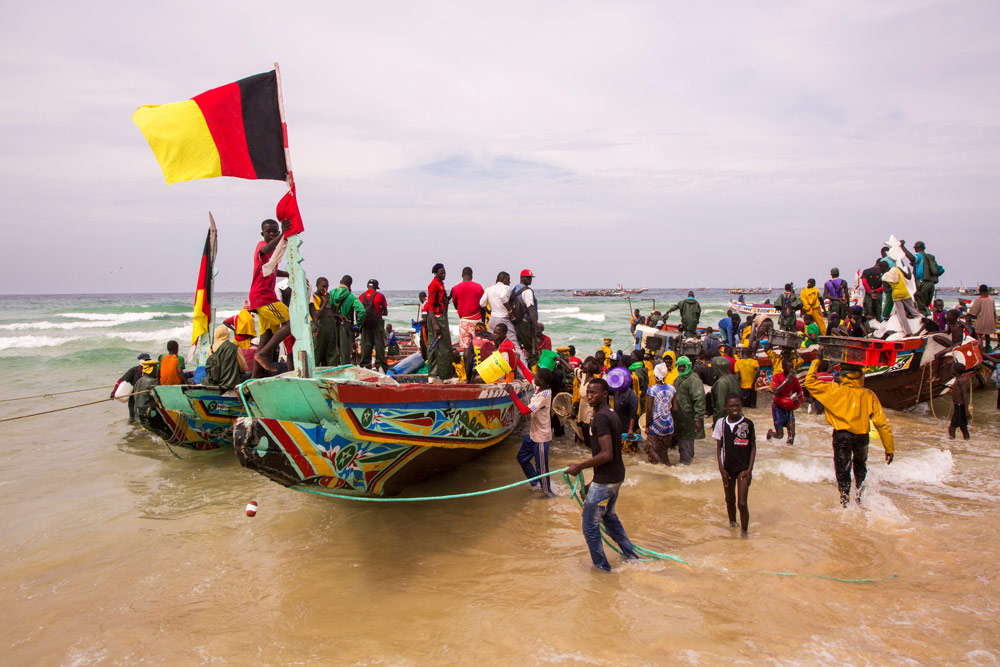 Iedereen helpt de thuiskomende vissers in Kayar. Rondreis Senegal, Afrika, tips vakantie