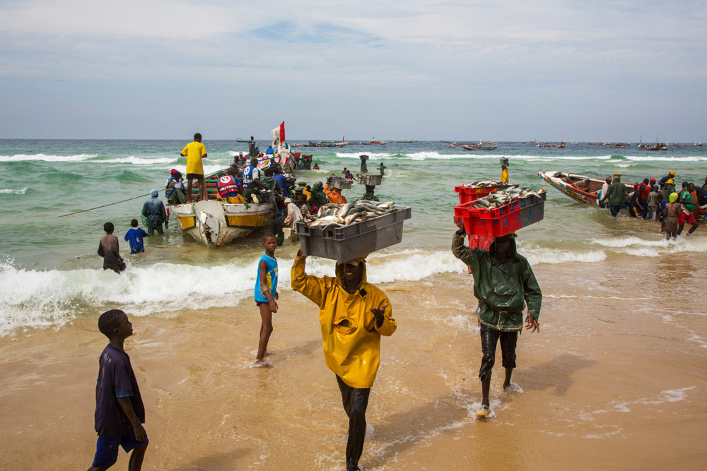 Vissers brengen hun vangst aan wal in Kayar. Rondreis Senegal, Afrika, tips vakantie