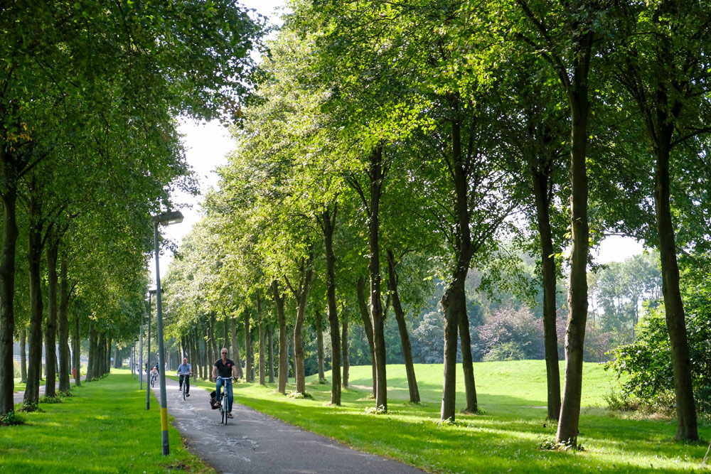 Een paar minuten fietsen vanaf het centrum ben je omgeven door groen. Duurzame stedentrip Almere, Flevoland, Nederland, staycation