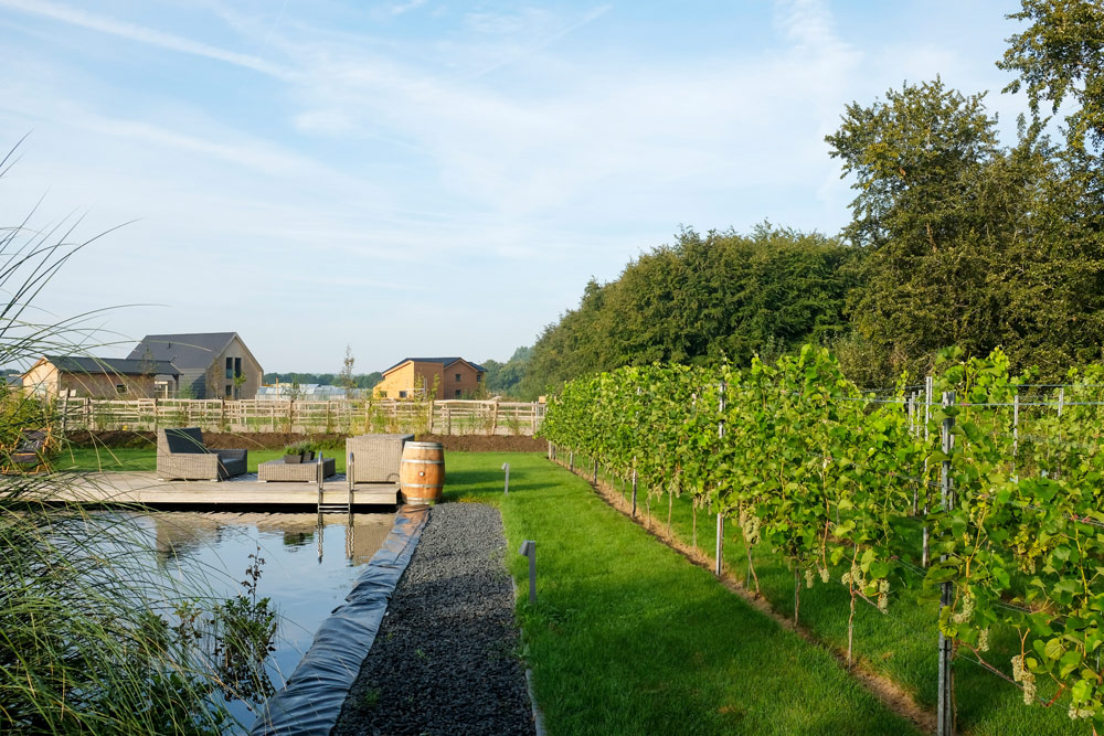 Lekker wakker worden met uitzicht op de wijngaard bij B&B LCBT. Duurzame stedentrip Almere, Flevoland, Nederland, staycation