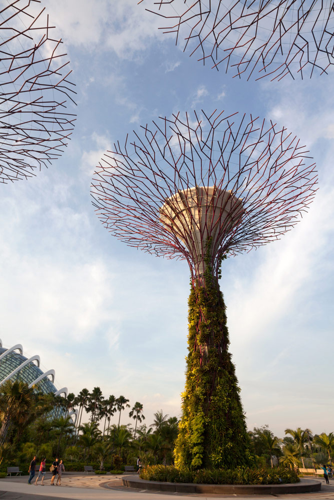 De bijzondere tuinen Gardens by the Bay in Singapore. Stedentrip Singapore, bezienswaardigheden en hotspots