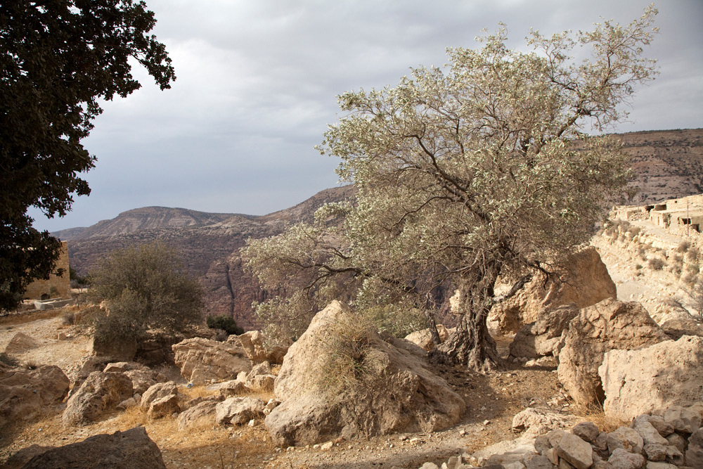 Schilderachtige omgeving bij Dana, Jordanië . Rondreis Jordanie met Wadi Rum, Petra, Dana reserve en de Dode Zee