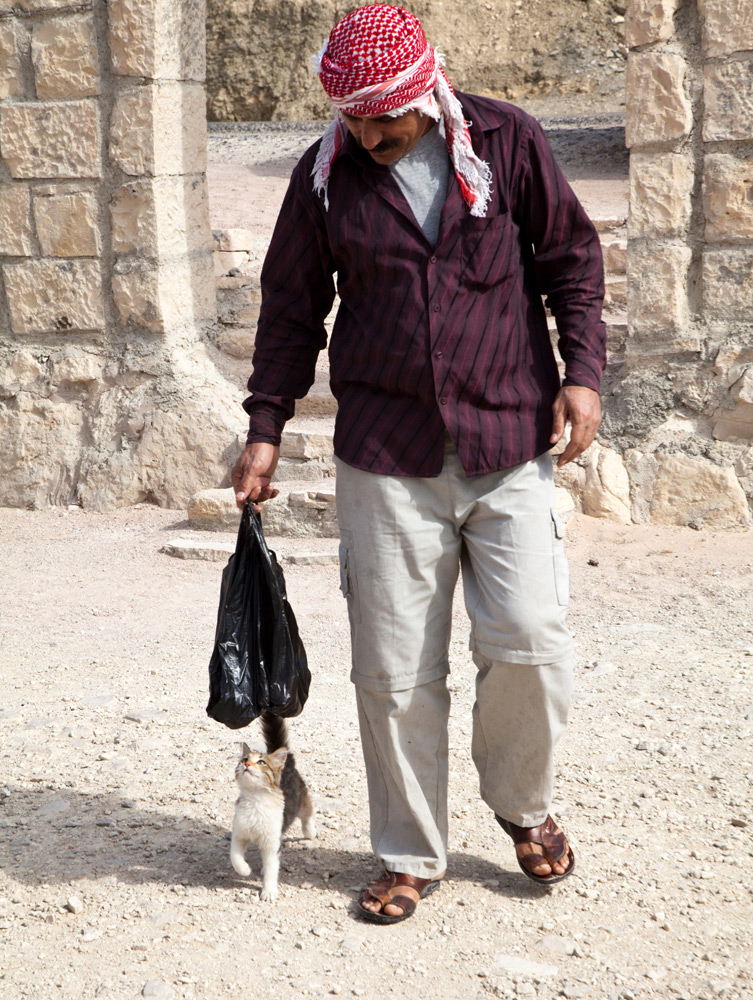 Kat en man in Jordanie. Rondreis Jordanie met Wadi Rum, Petra, Dana reserve en de Dode Zee