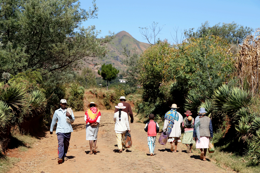Gezinnen wandelen naar huis na hun bezoek aan de markt in de stad Betafo. Rondreis Madagaskar, wnadelen in de buurt van Betafo. Hiken.