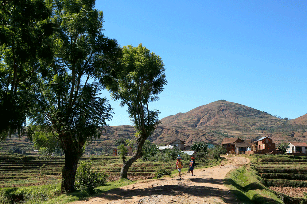 . Rondreis Madagaskar, wnadelen in de buurt van Betafo. Hiken.