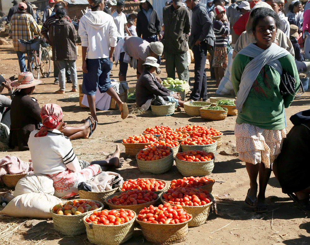 Een lekker begin van de wandeling in Madagaskar, dit bezoek aan de markt. Rondreis Madagaskar, wnadelen in de buurt van Betafo. Hiken.