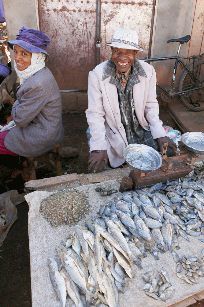 Vis te koop op de markt in Betafo. Rondreis Madagaskar, wnadelen in de buurt van Betafo. Hiken.