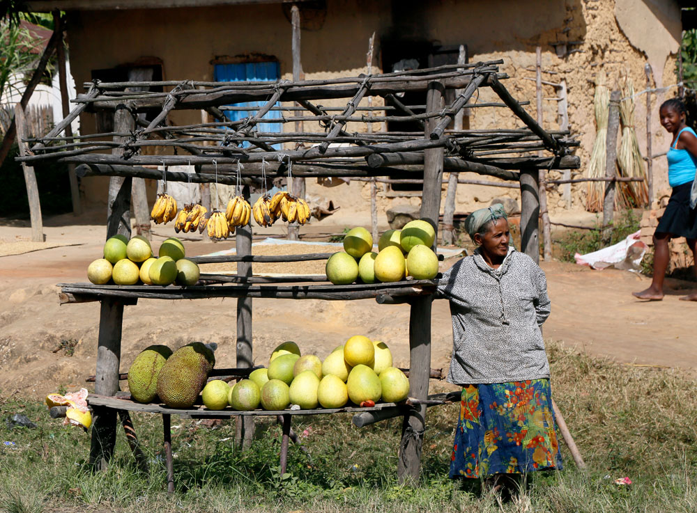 Groenten en fruit te koop langs de weg. Rondreis Madagaskar, roadtrip Madagascar, lemuren
