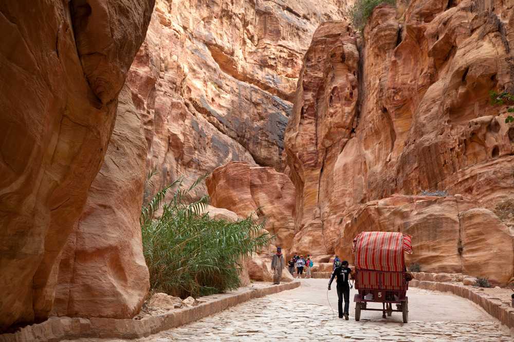 Sommigen kiezen voor paard en wagen om Petra te verkennen. Rondreis Jordanie met Wadi Rum, Petra, Dana reserve en de Dode Zee