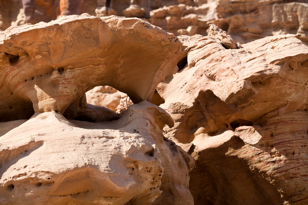 Bijzonder uitgesleten gesteente in het Wadi Mujib natuurreservaat. Rondreis Jordanie met Wadi Rum, Petra, Dana reserve en de Dode Zee