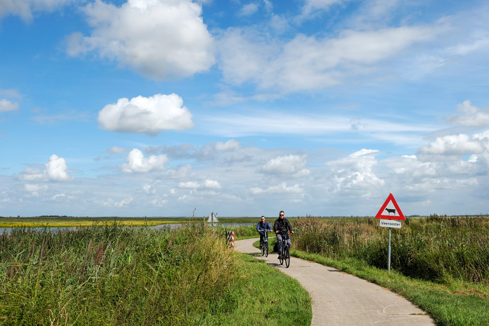 De laatste kilometers van het rondje Oostvaardersplassen. Oostvaardersplassen, fietsen, fietsvakantie, fietsroutes, Stedentrip Almere, staycation, hotspots