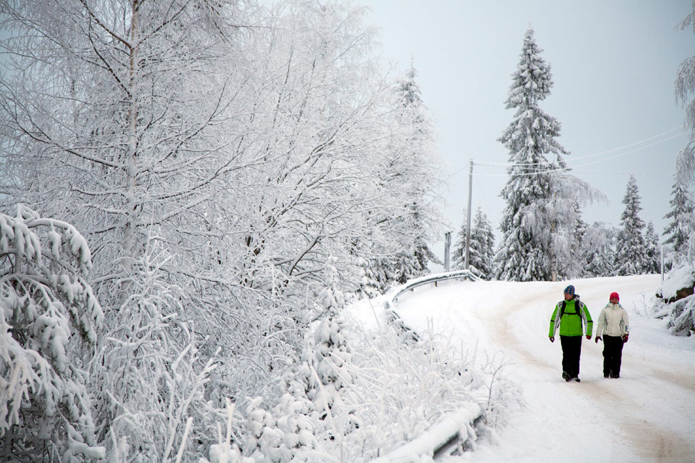 Wandelen in de wondere winterwereld. Wintersport in Vuokatti, Lapland, Finlans