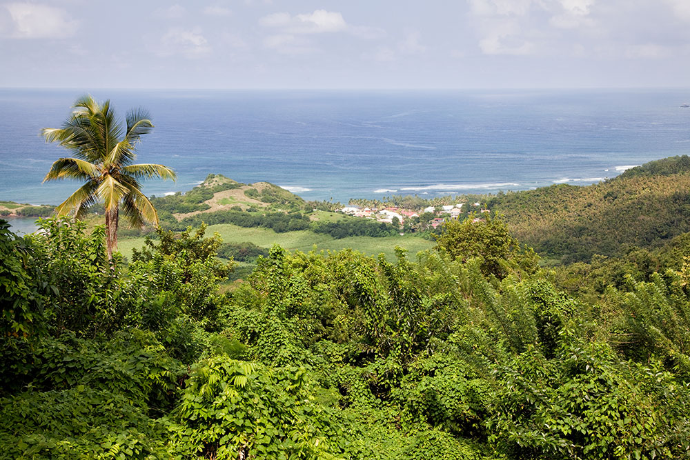 De prachtige natuur van Martinique