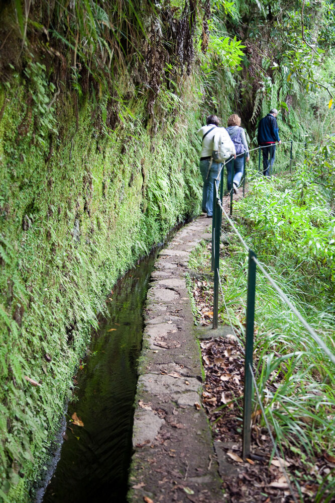 Levada-wandeling op Madeira